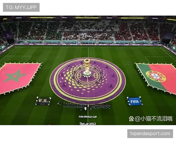 世界杯葡萄牙与法国谁的替补更强
