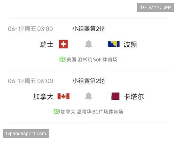卡塔尔1-3波黑：世界杯B组末轮战报